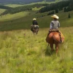 Bobcat-Pass-Wilderness-Adventures_Desktop_NM