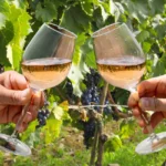 Camino-Real-Winery_Desktop_NM