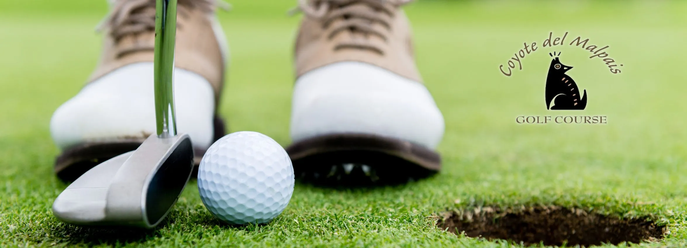 Coyote-Del-Malpais_Desktop_NM