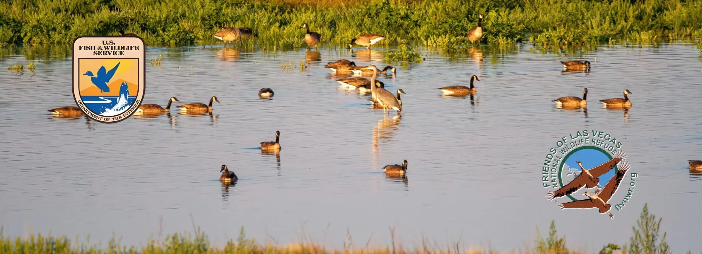 Las-Vegas-Wildlife-Refuge_Desktop_NM