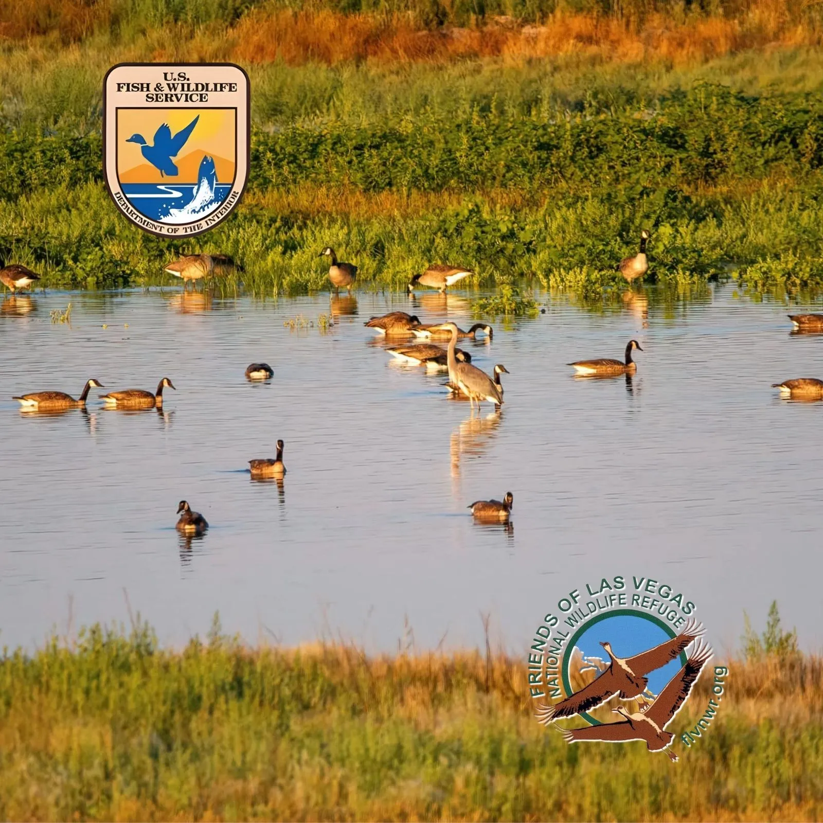 Las-Vegas-Wildlife-Refuge_Mobile_NM