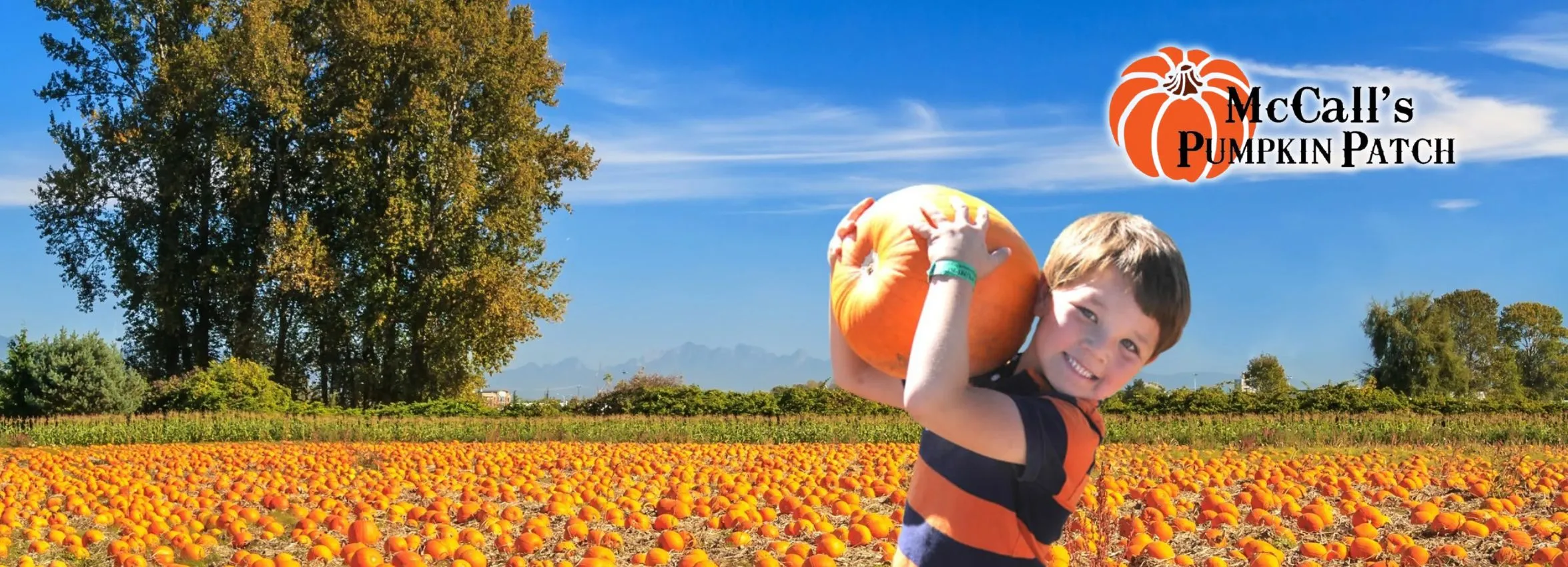 McCalls-Pumpkin-Patch_Desktop_NM