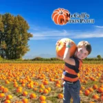 McCalls-Pumpkin-Patch_Mobile_NM