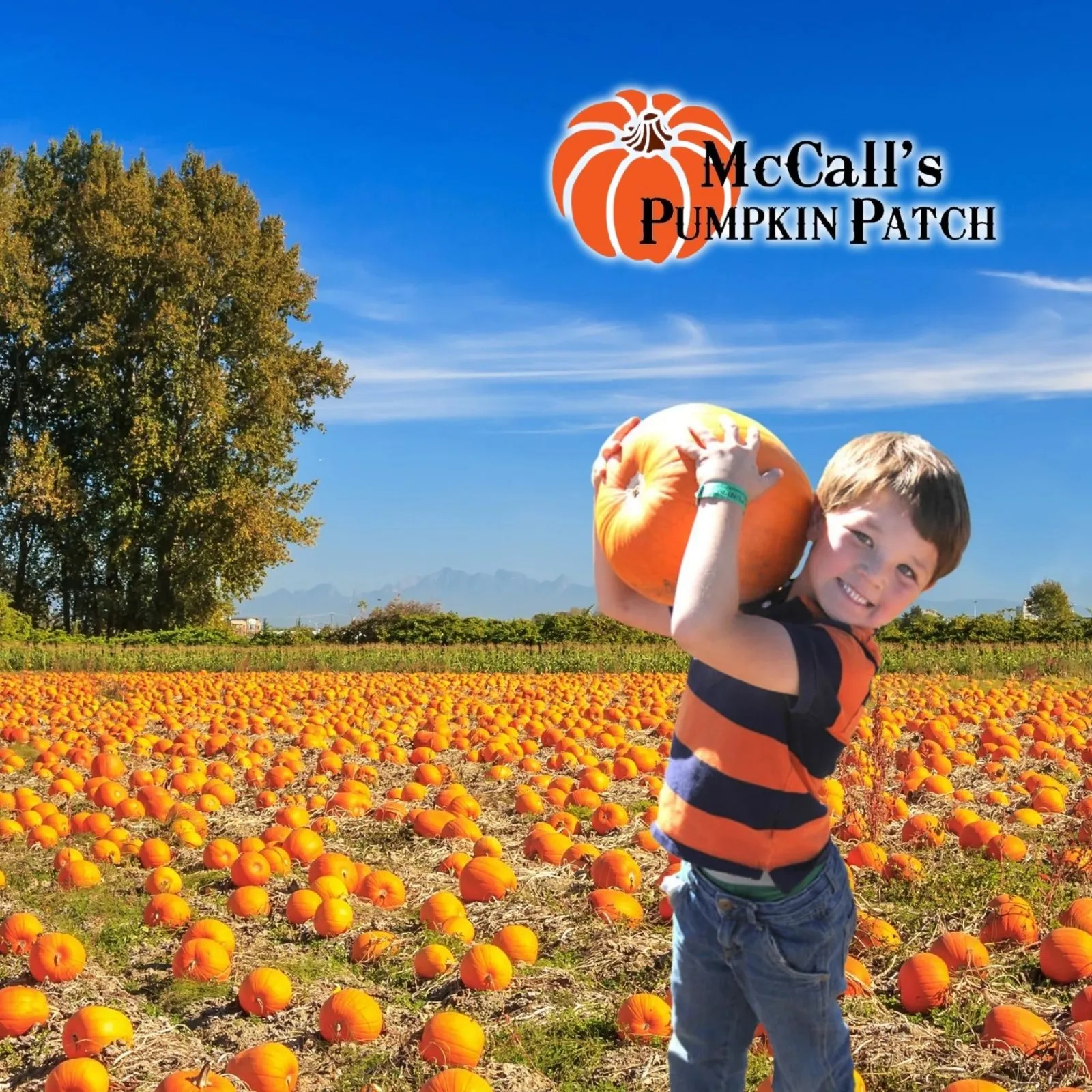 McCalls-Pumpkin-Patch_Mobile_NM