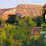 McElroy-and-Associates_Desktop_NM