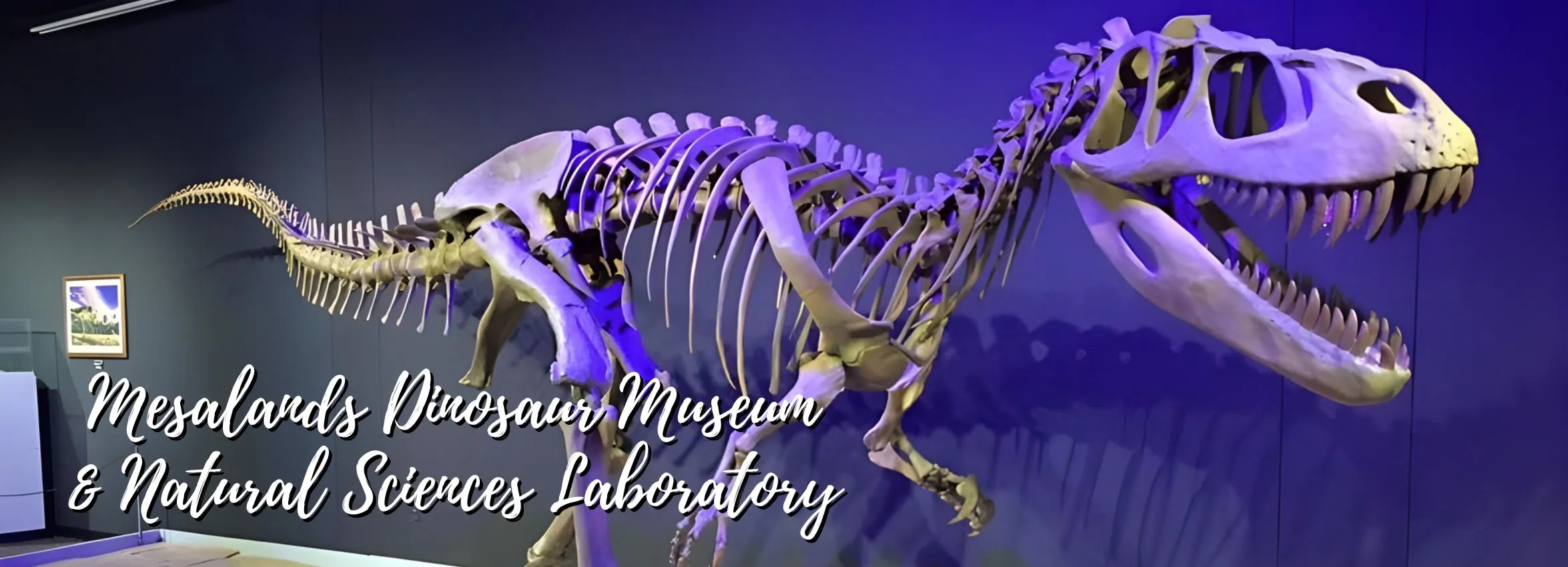 Mesalands-Dinosaur-Museum-_-Natural-Sciences-Lab_Desktop_NM