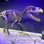 Mesalands-Dinosaur-Museum-_-Natural-Sciences-Lab_Mobile_NM