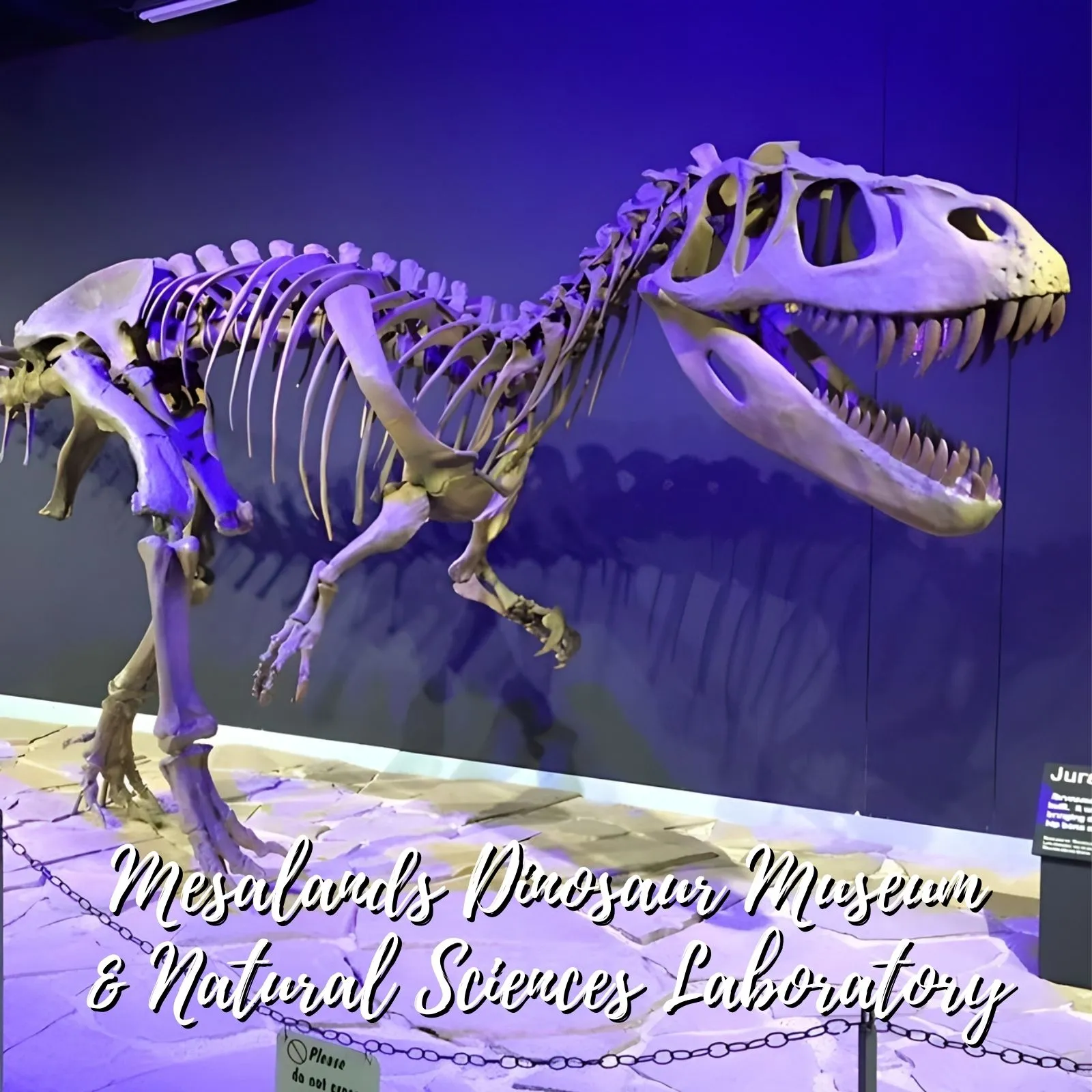 Mesalands-Dinosaur-Museum-_-Natural-Sciences-Lab_Mobile_NM