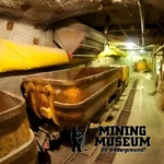 New-Mexico-Mining-Museum_Mobile_NM