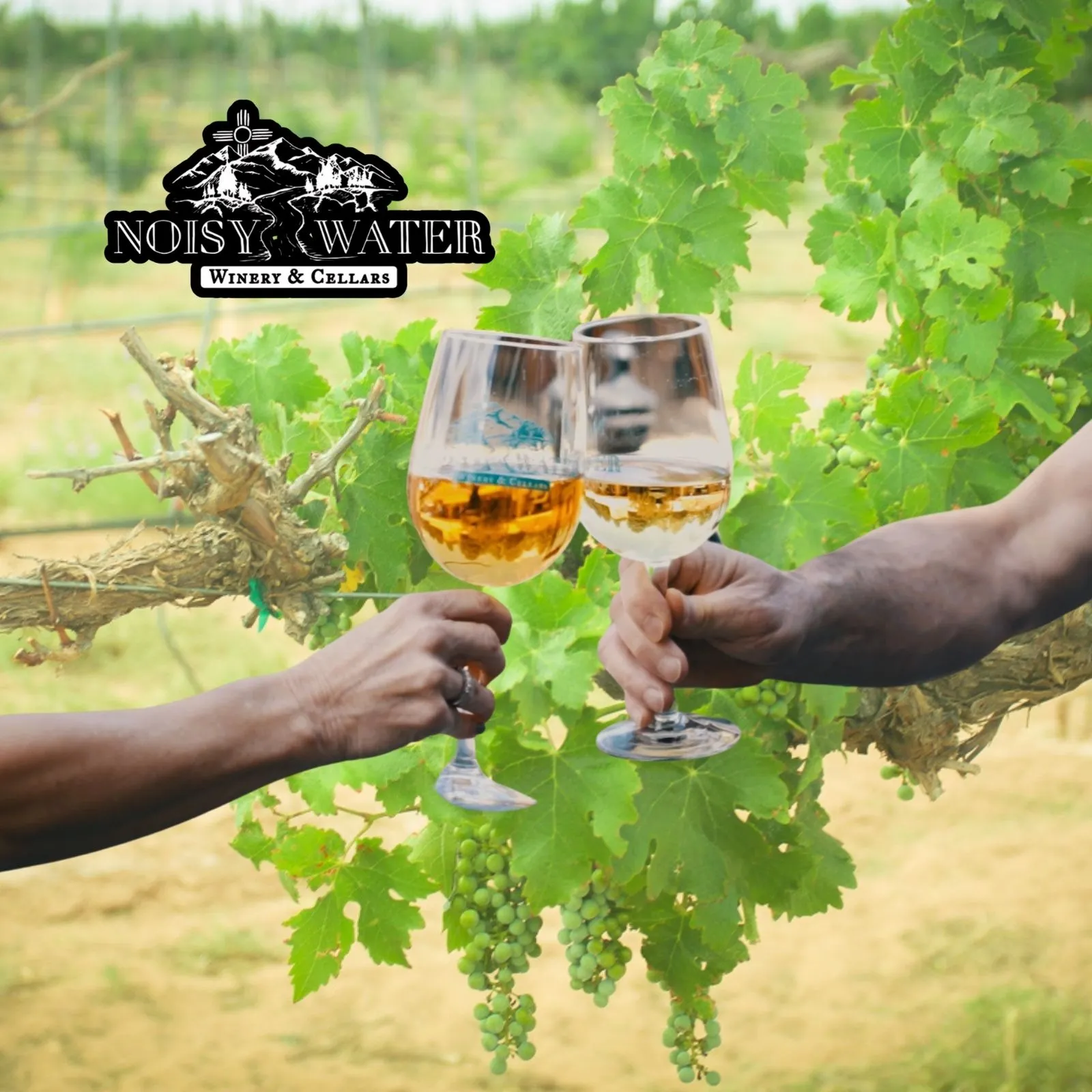 Noisy-Water-Winery-and-Cellars_Mobile_NM