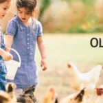 Old-Mill-Farm-and-Ranch_Desktop_NM