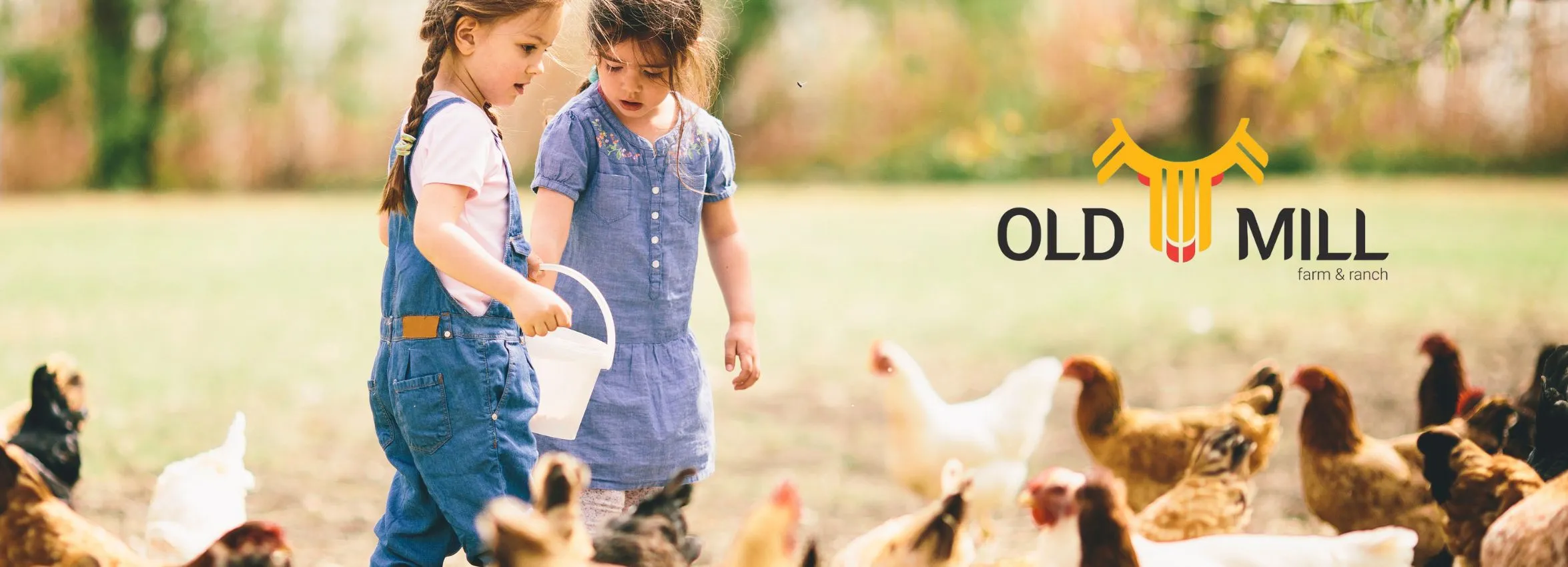 Old-Mill-Farm-and-Ranch_Desktop_NM