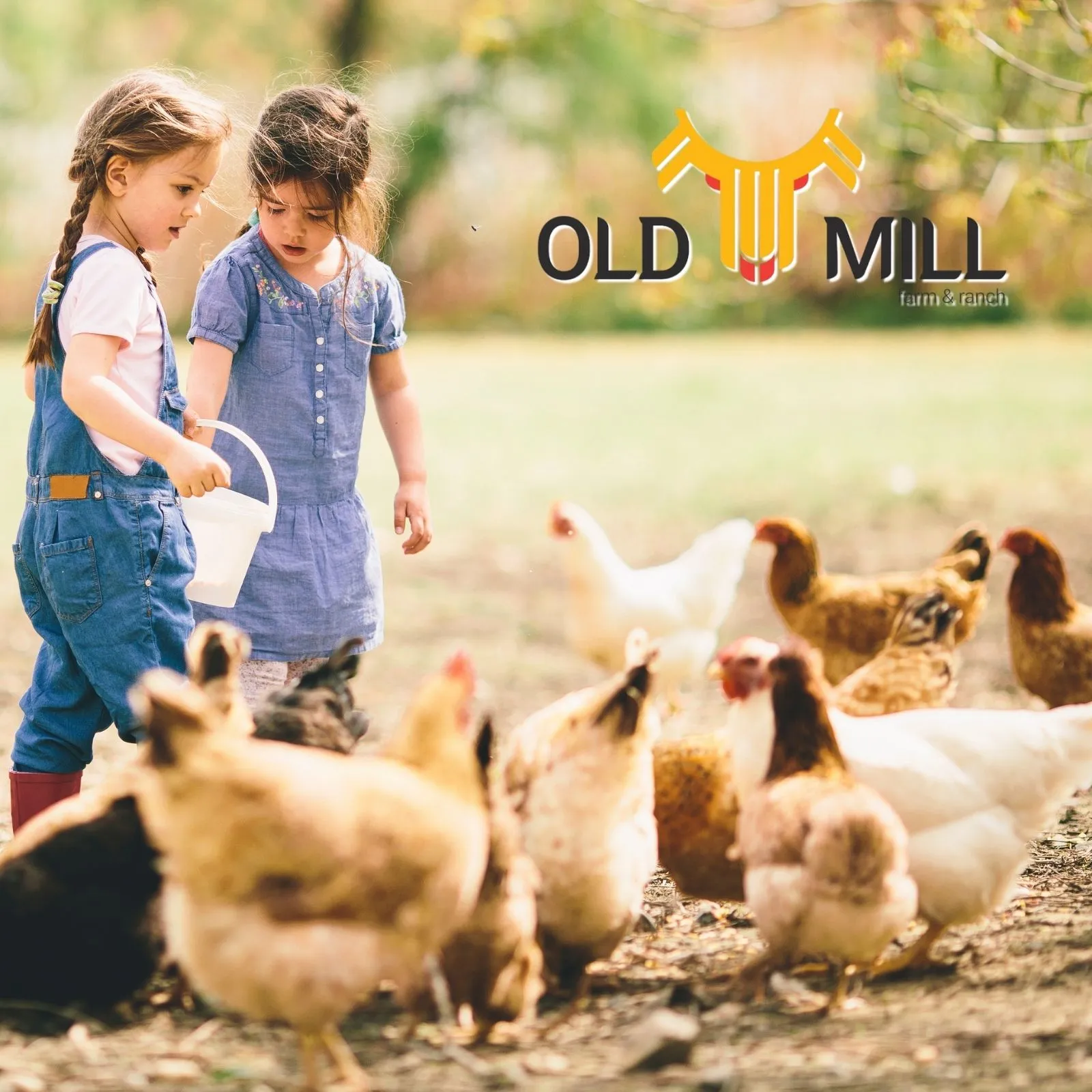 Old-Mill-Farm-and-Ranch_Mobile_NM