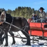 Roadrunner-Tours_Desktop_NM