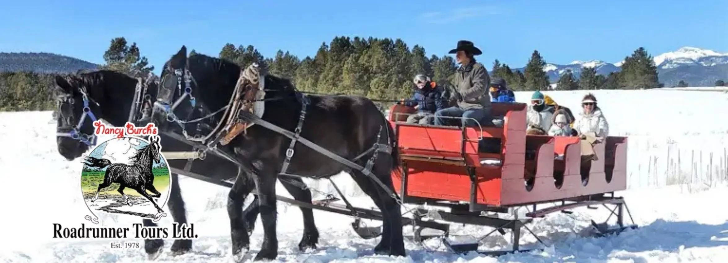 Roadrunner-Tours_Desktop_NM