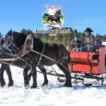 Roadrunner-Tours_Mobile_NM