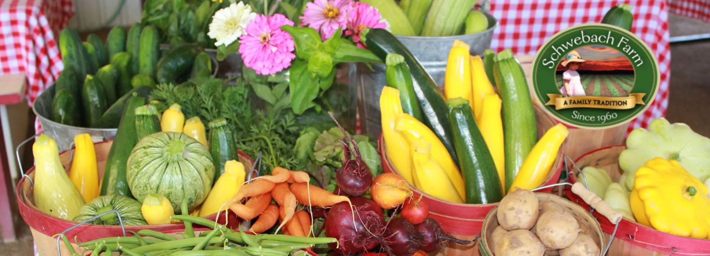 Schwebach-Farm_Desktop_NM