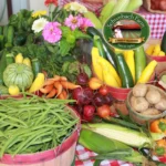 Schwebach-Farm_Mobile_NM