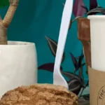 The-JacklopeCoffee-Haus_Desktop_NM