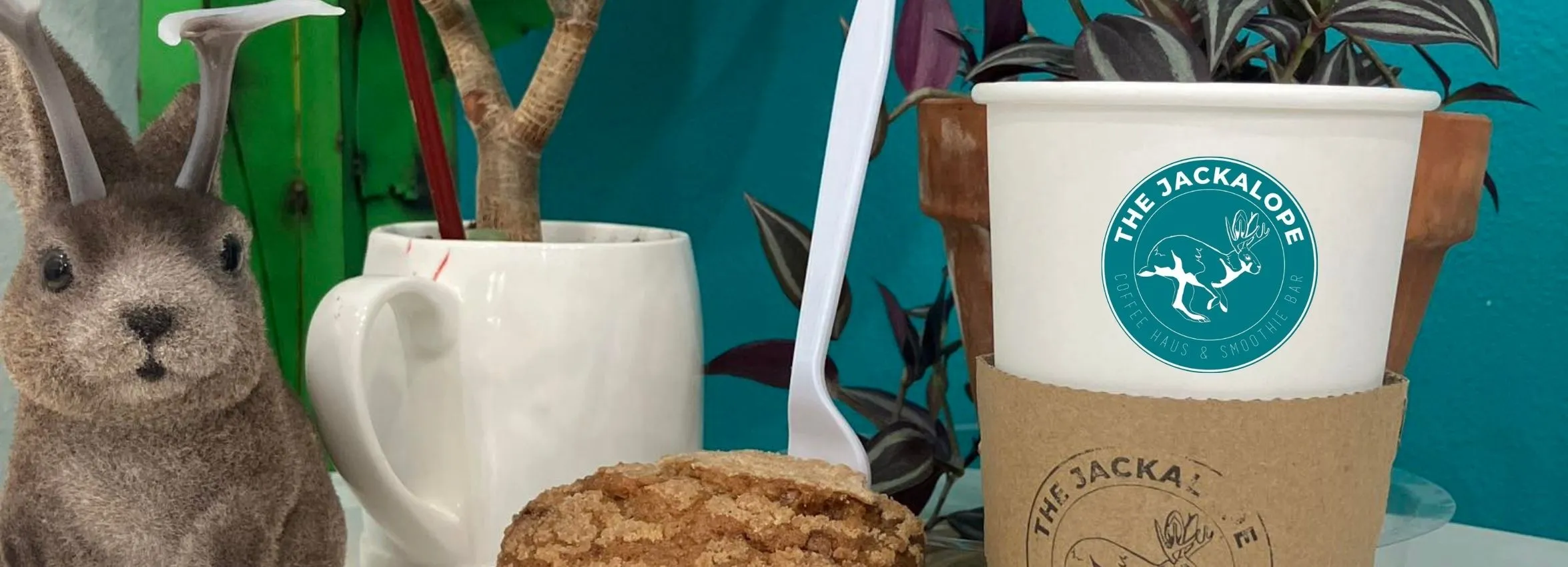 The-JacklopeCoffee-Haus_Desktop_NM