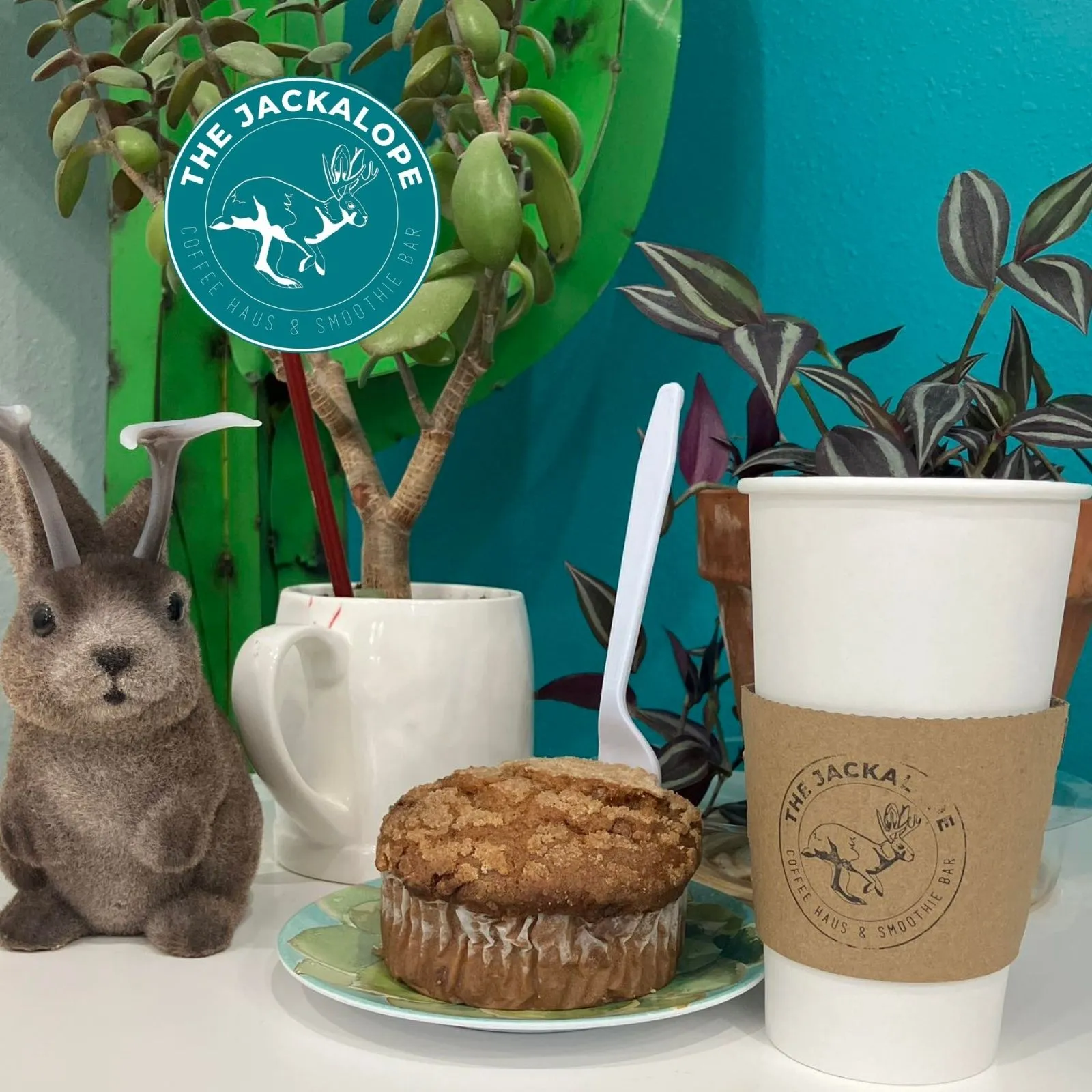 The-JacklopeCoffee-Haus_Mobile_NM